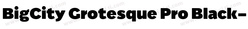 BigCity Grotesque Pro Black字体转换